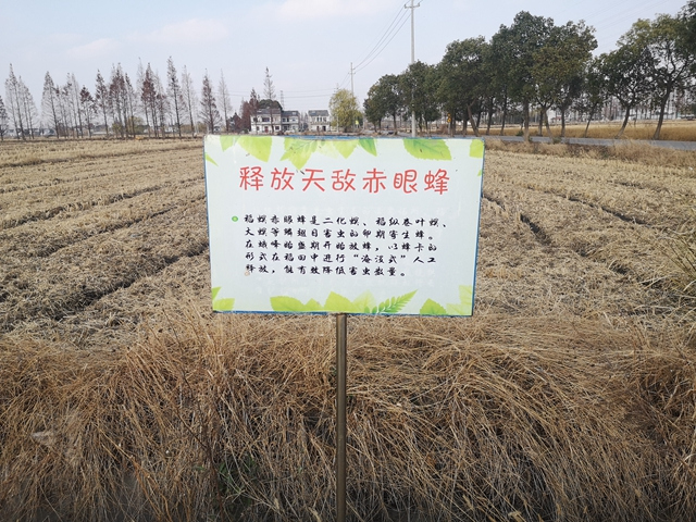 政策性农担这样稳粮富农(图1)