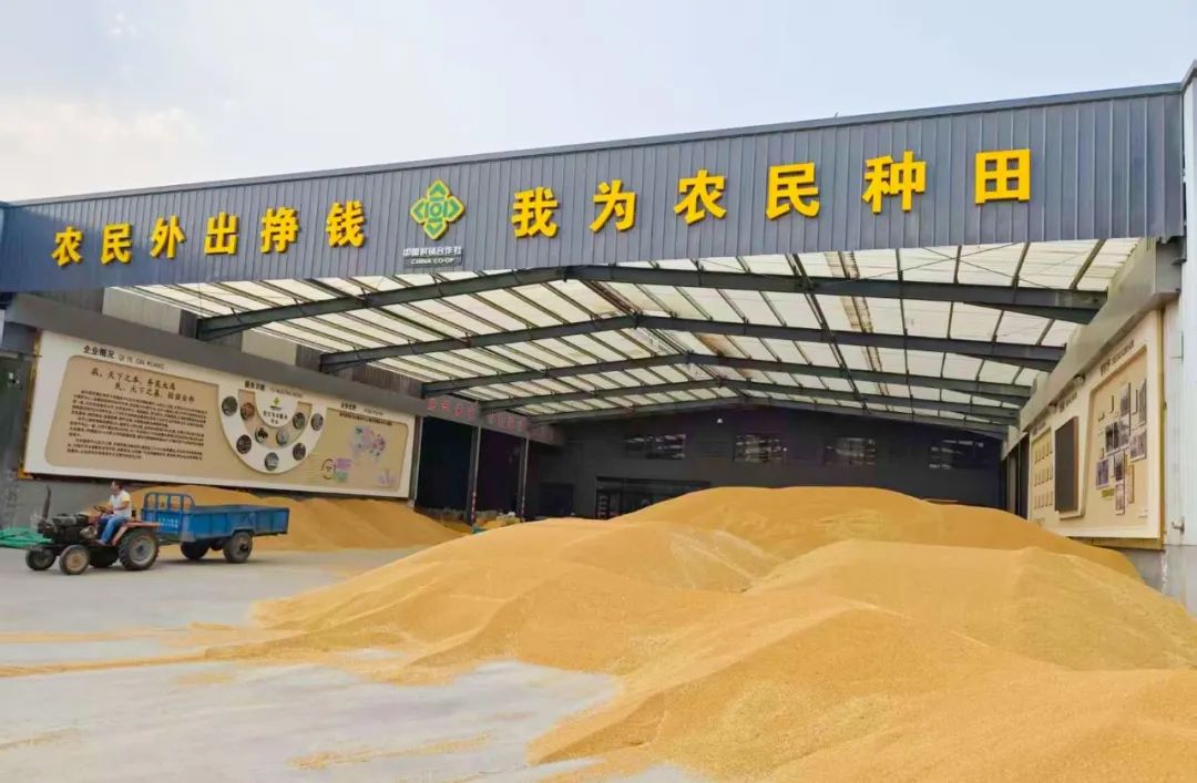 电加热粮食烘干服务规范pdf(图1)