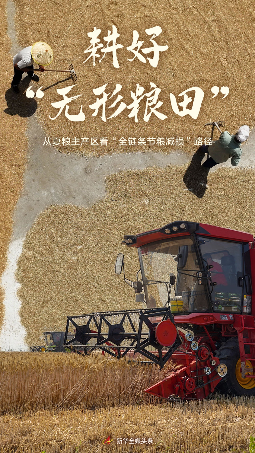 国际粮食减损大会将于9月9日至11日在山东济南举办(图1)