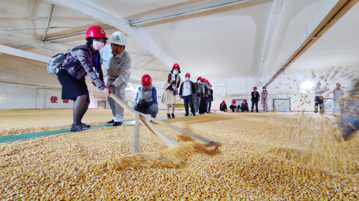 做好粮食仓储管理工作(图1)