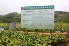 李宁(02331)最新价格_行情_走势图—东方财富网(图1)
