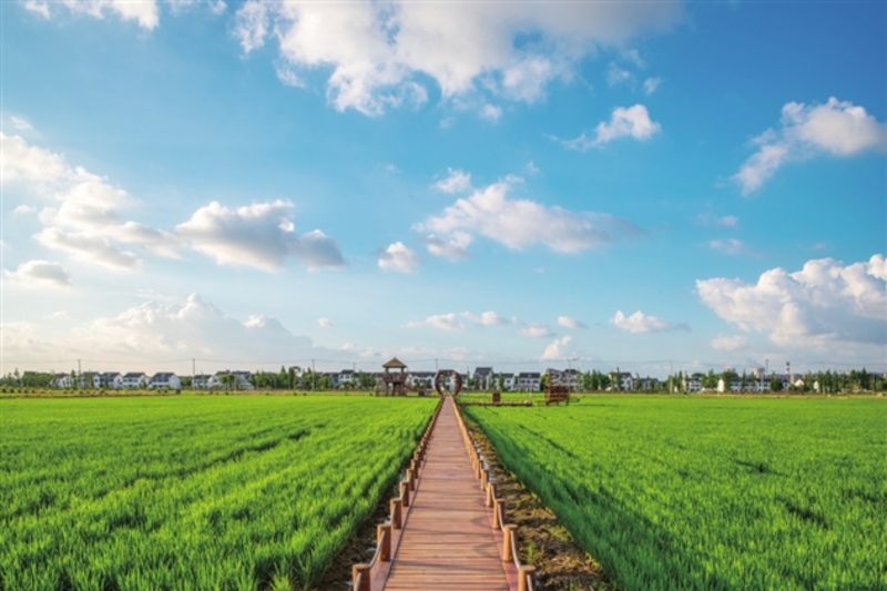 夺粮剿匪记刘美玉(图1)