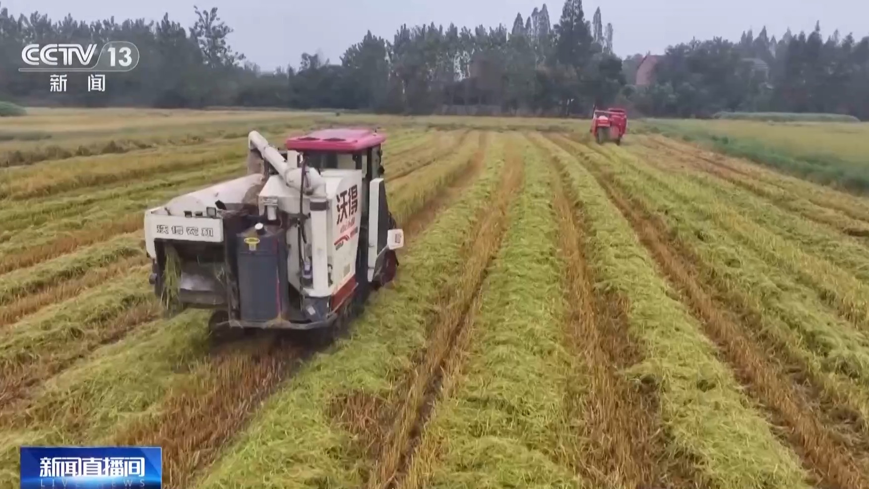 粮油保管自然损耗量等于入库总量减去()再减去水分杂质减量。A运输损耗量B出库总量C实际(图1)