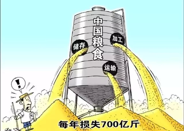 粮食储存损耗的原因分析及对策(图1)