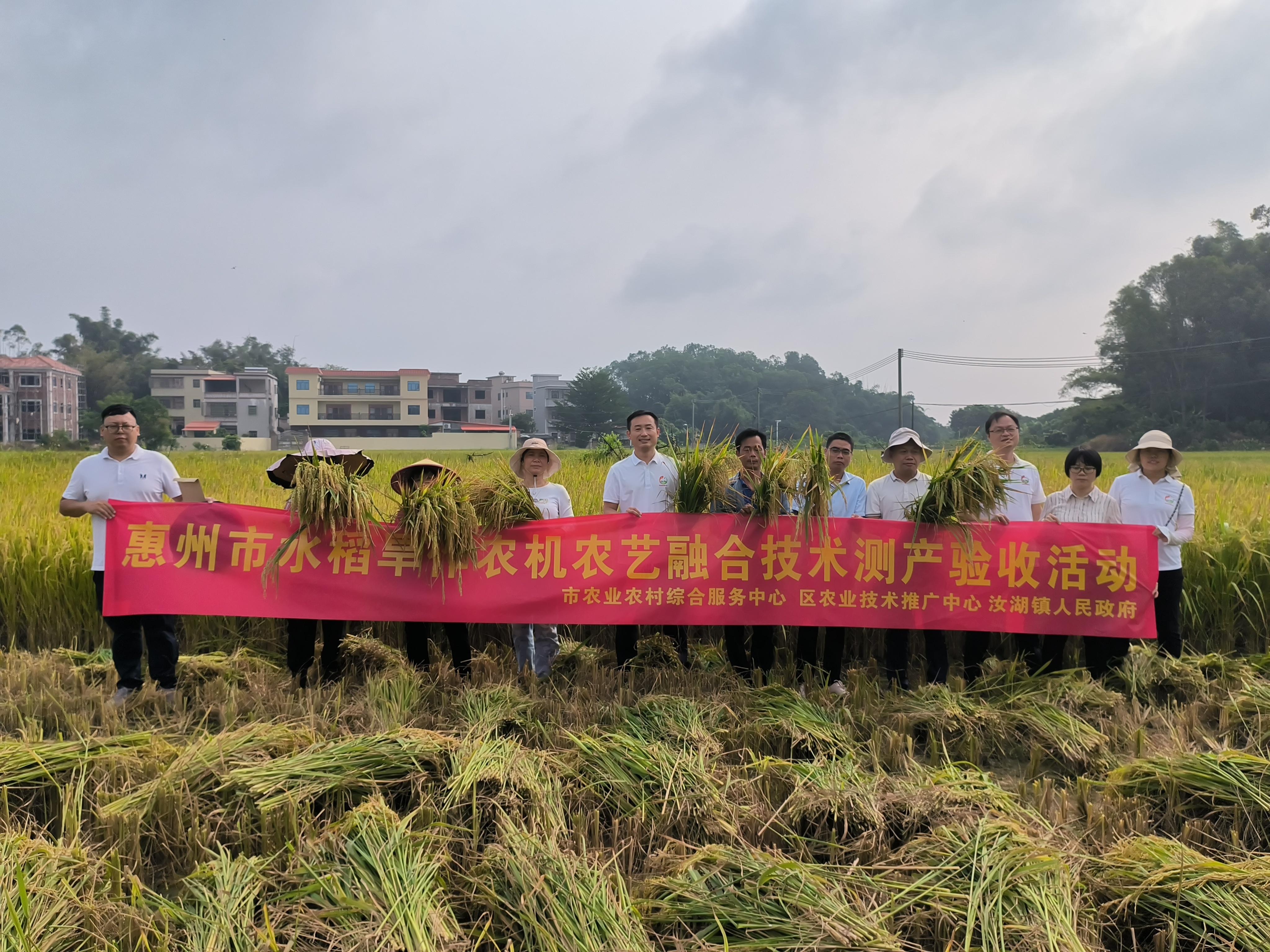 全球粮食危机进一步加剧专家解答热点问题(图1)