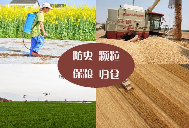 陵川县发展改革和科技局关于粮食仓储环节损失损耗情况报告(图1)