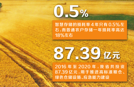 机收小麦减损增产(图1)