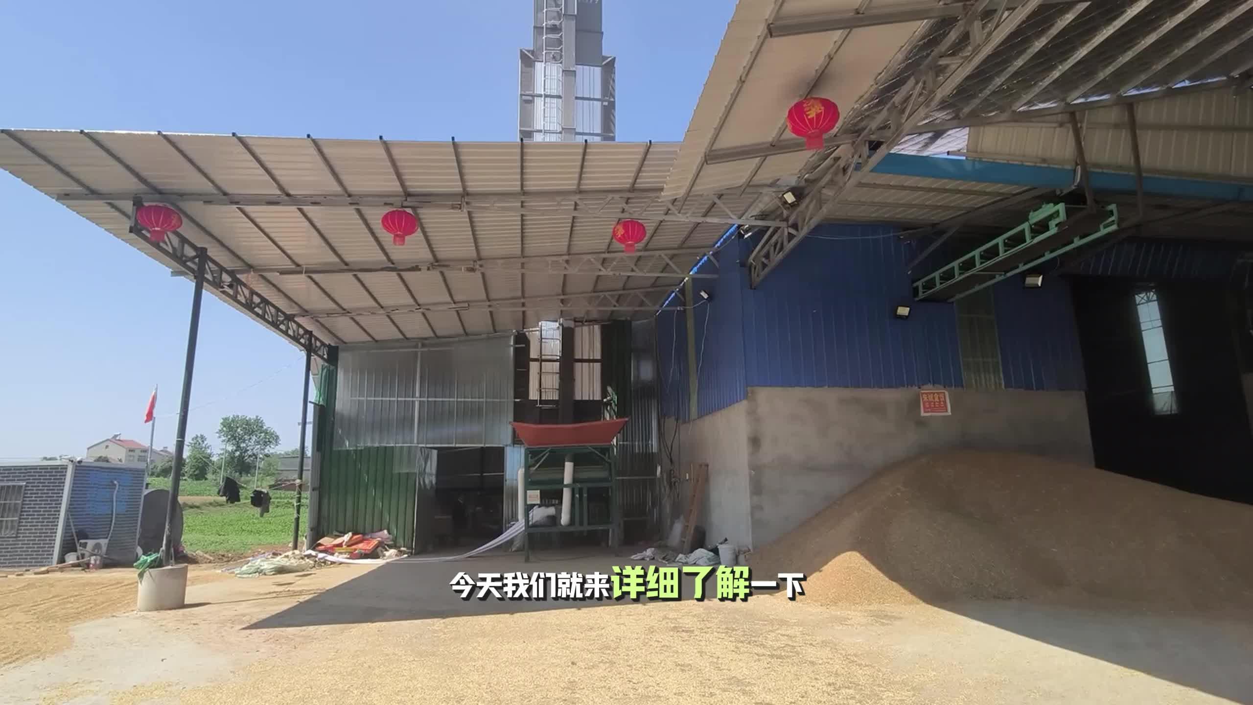 一粒粮食如何“链”出硬实力?(图1)